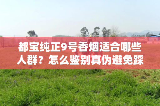 都宝纯正9号香烟适合哪些人群？怎么鉴别真伪避免踩坑？